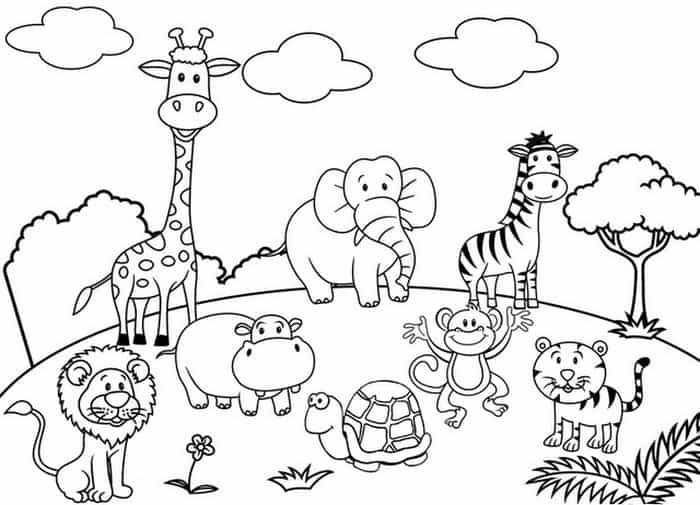 Baby zoo animal coloring pages zoo animal coloring pages zoo coloring pages animal coloring pages