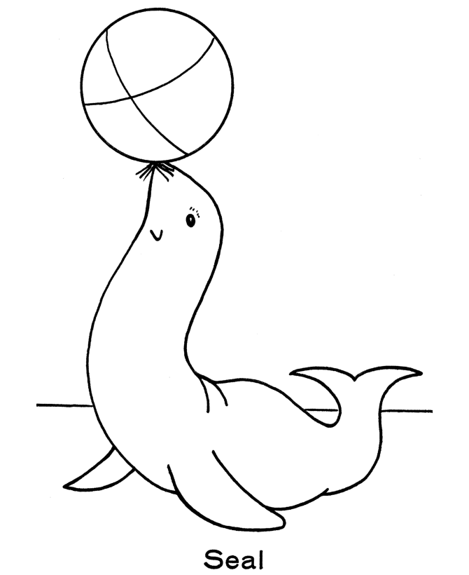 Zoo animal coloring pages zoo seal exhibit coloring page activity sheet