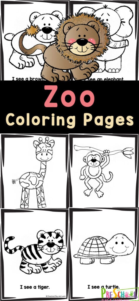 Free printable zoo animal coloring pages