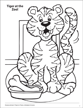 A tiger at the zoo amazing animals coloring page printable coloring pages