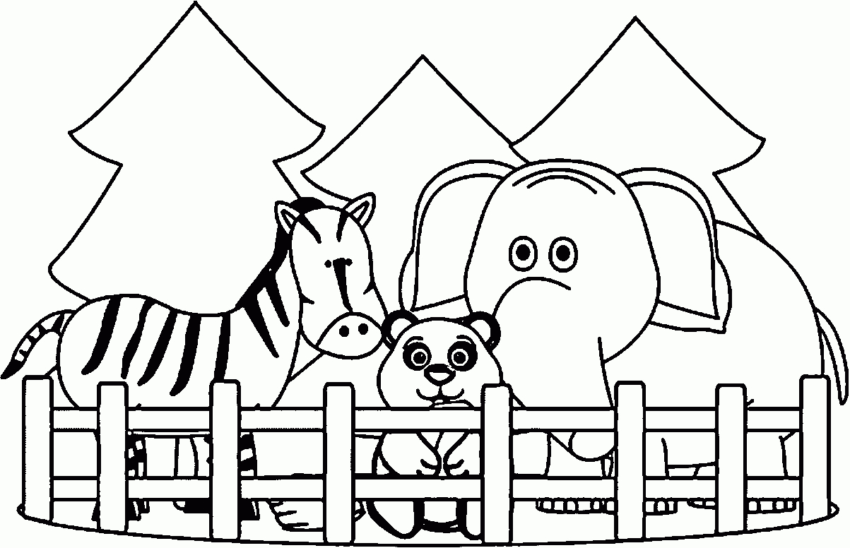 Zoo animals coloring pages