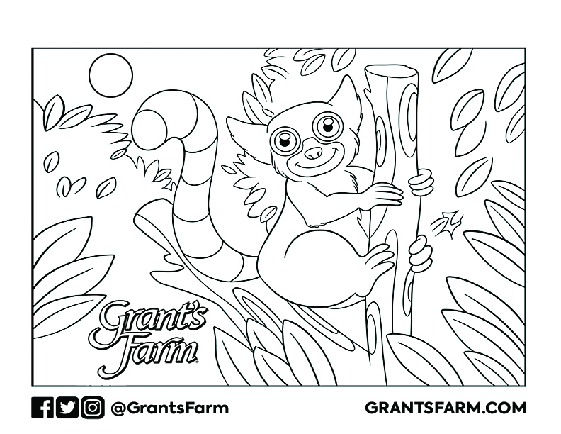 Zoo coloring pages