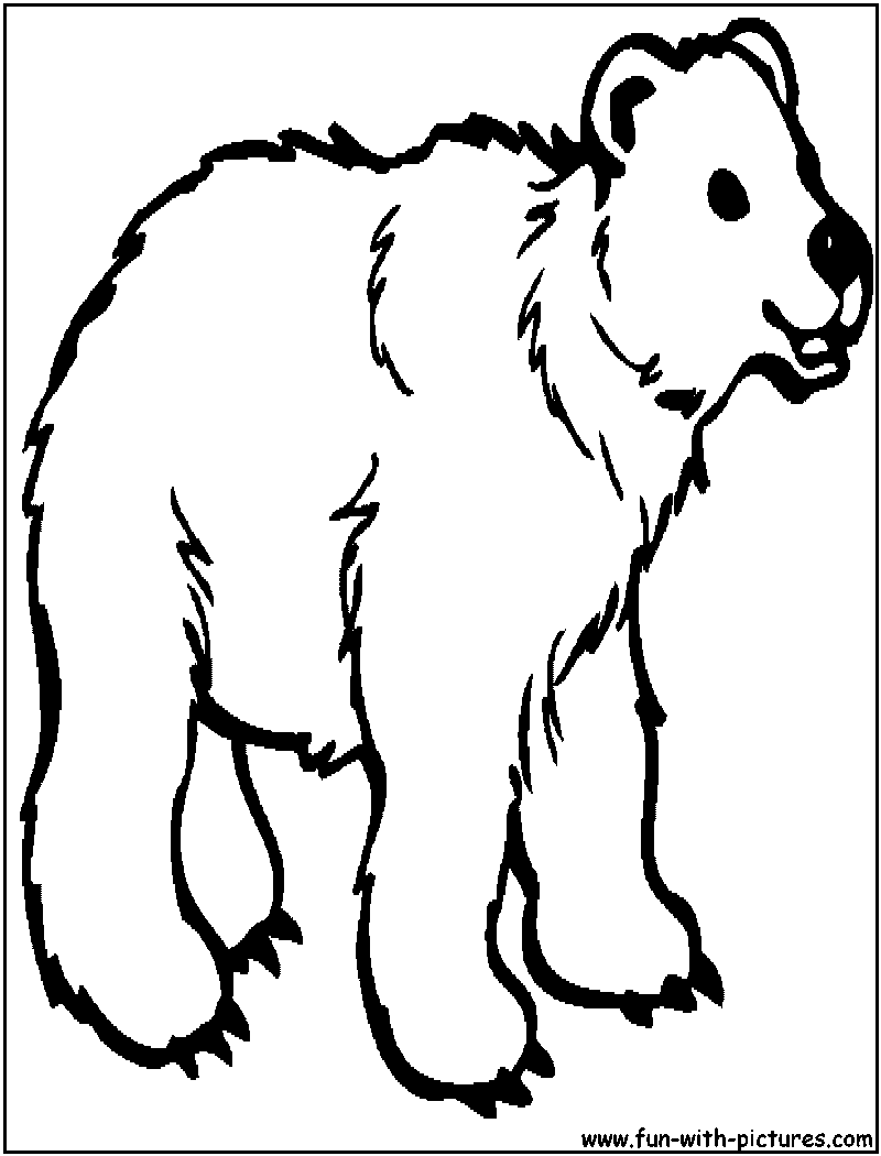 Zoo animals coloring pages