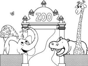 Zoo coloring pages âï free coloring pages