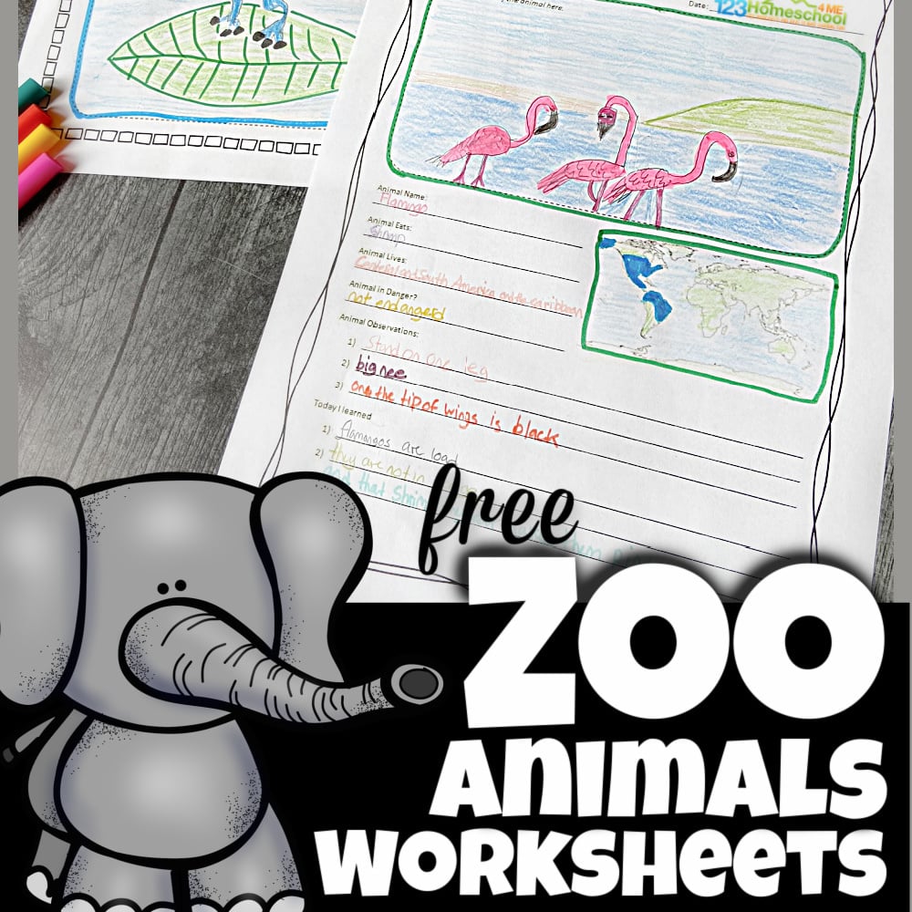 Ð free zoo field trip worksheet and animal reports