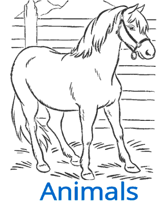 Coloring pages for kids