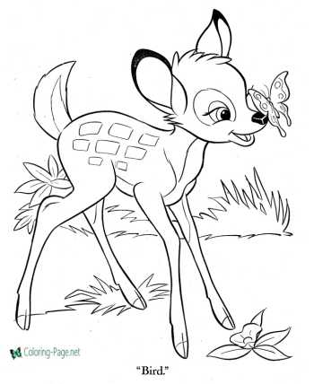 Cartoon coloring pages