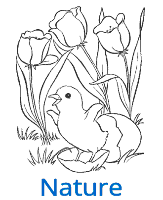 Coloring pages for kids