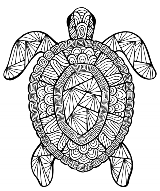 Free printable adult coloring pages for summer