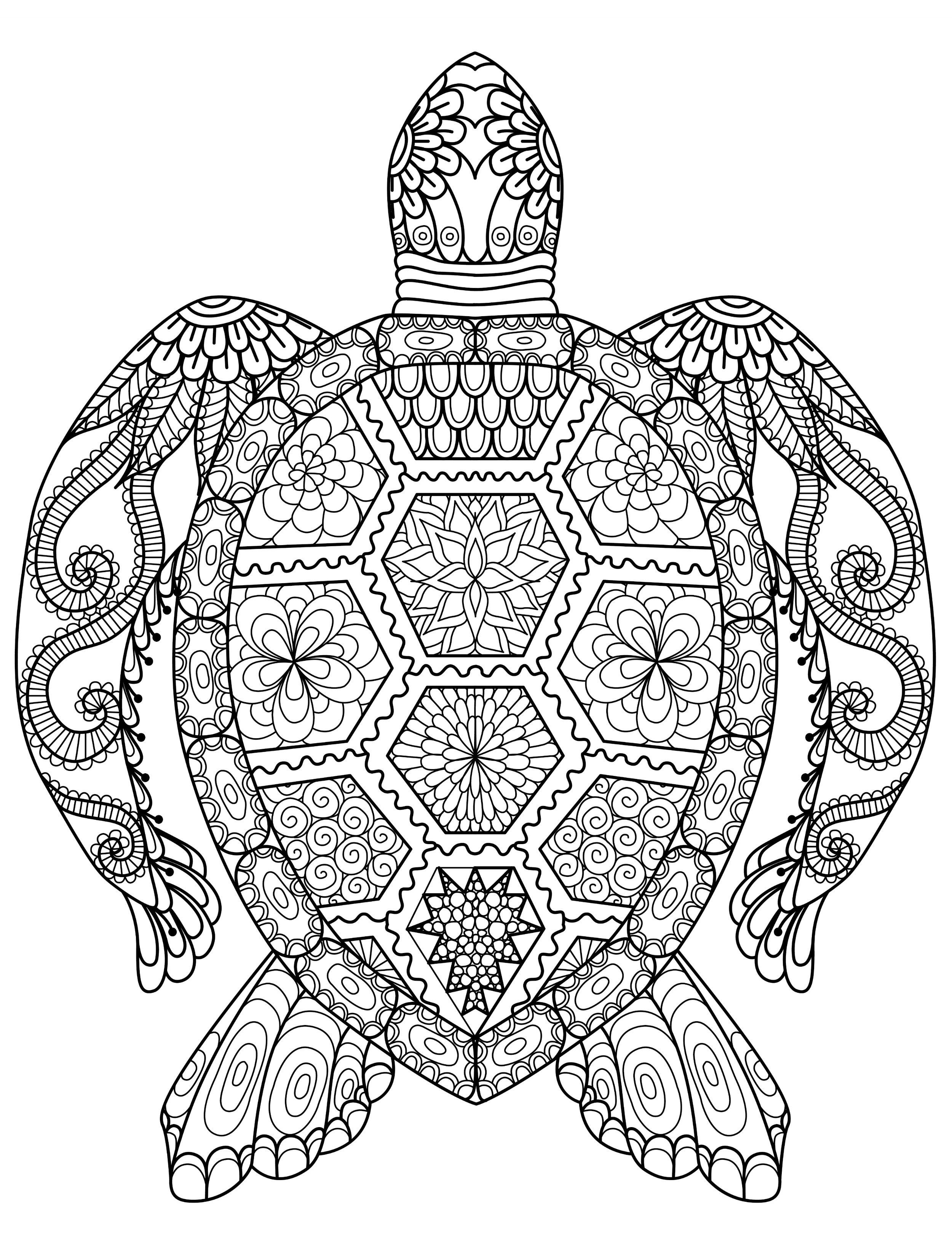 Gorgeous free printable adult coloring pages turtle coloring pages free printable coloring pages free adult coloring pages