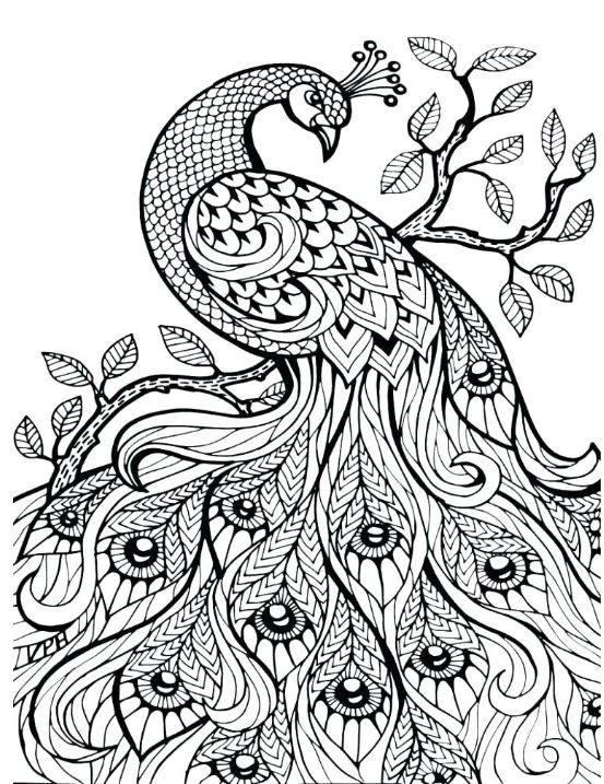 Totally awesome free adult coloring pages â the quiet grove