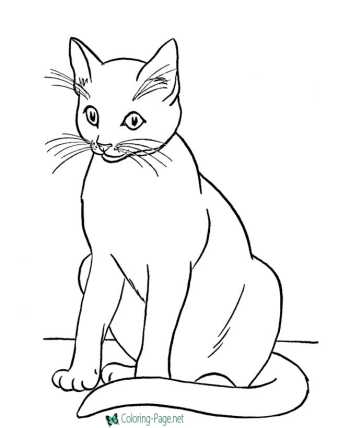 Animal coloring pages