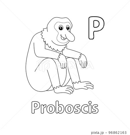 Proboscis monkey alphabet abc isolated coloring p