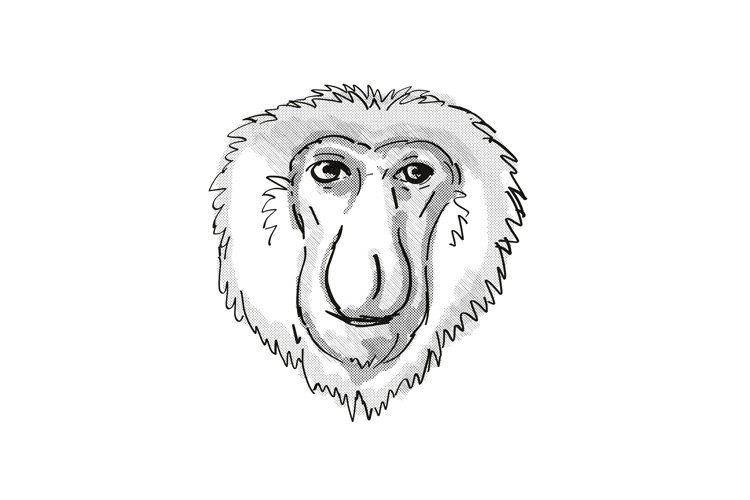 Proboscis monkey endangered wildlife cartoon retro drawing