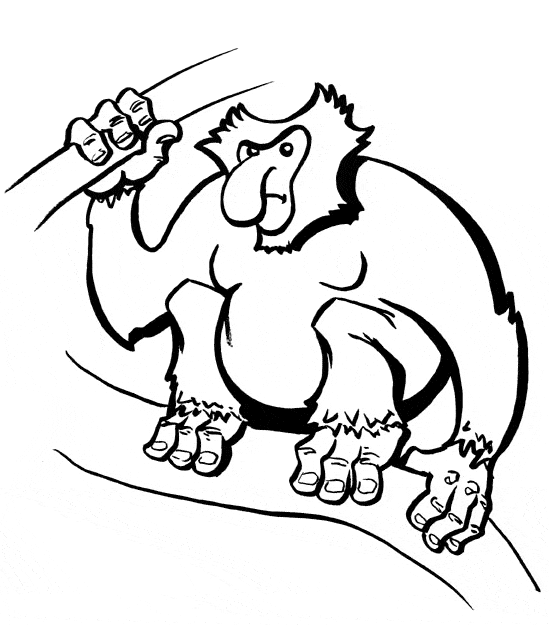 Proboscis monkey coloring page