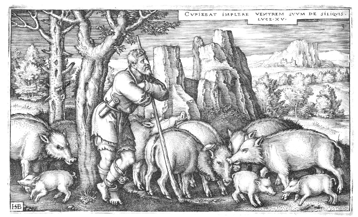 Prodigal son with the swine by sebald beham