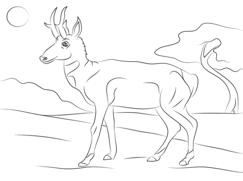 Pronghorn antilocapra americana coloring page free printable coloring pages