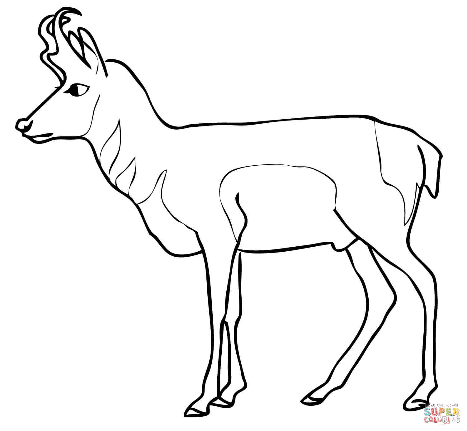 Pronghorn antelope coloring page free printable coloring pages