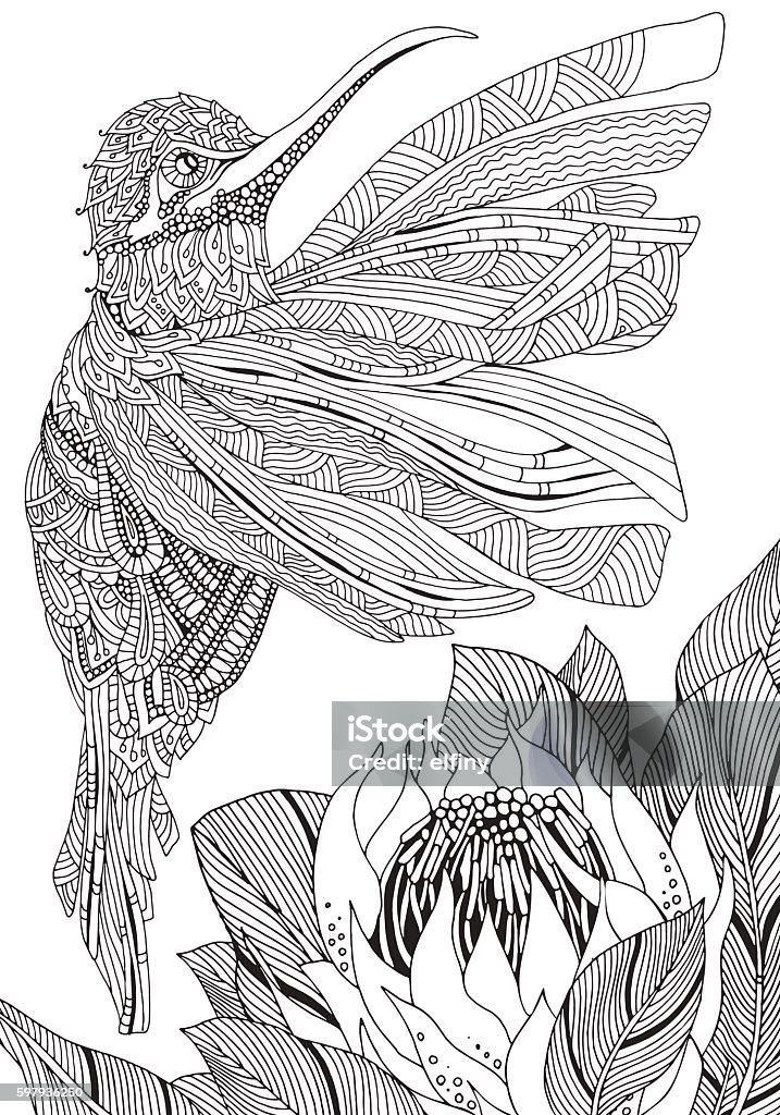 Sunbird artistic bird and protea flower coloring book page