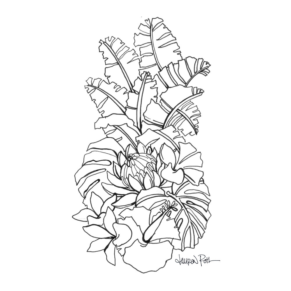 Protea pineapple free coloring page