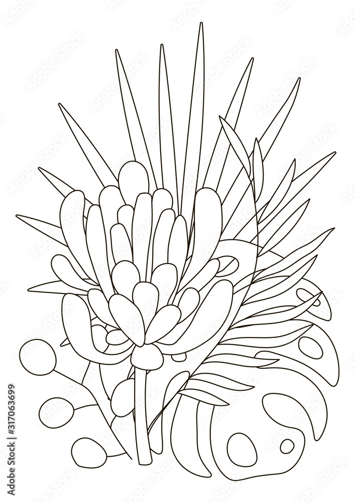 Hand drawing coloring pages for children and adults linear style flower coloring book for creative creativity antistress coloring book with tropical flowers protea orchid monstera palm vector