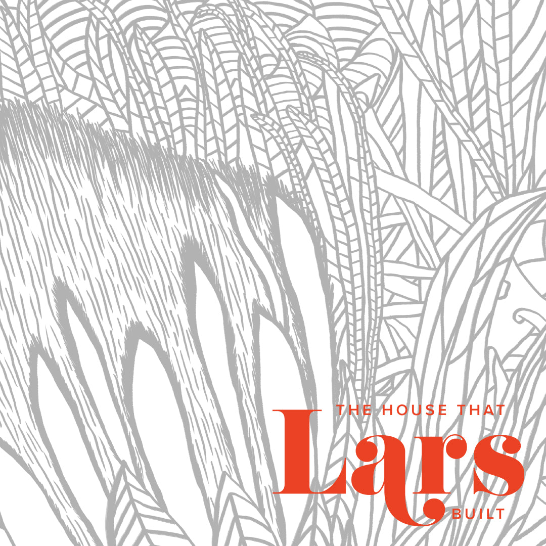 Abstract protea flower coloring page pdf printable â the house that lars built