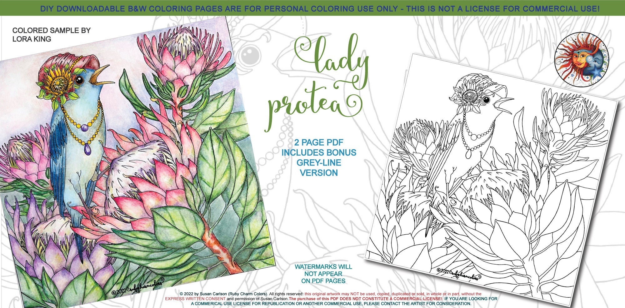 Lady protea downloadable