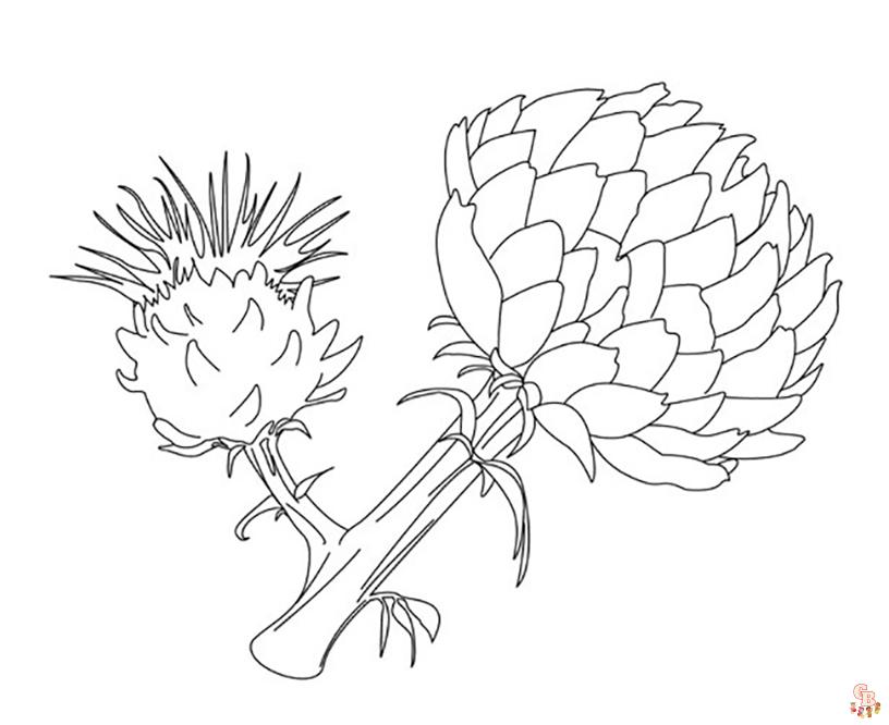 Discover the beauty of proteas coloring pages for free printable
