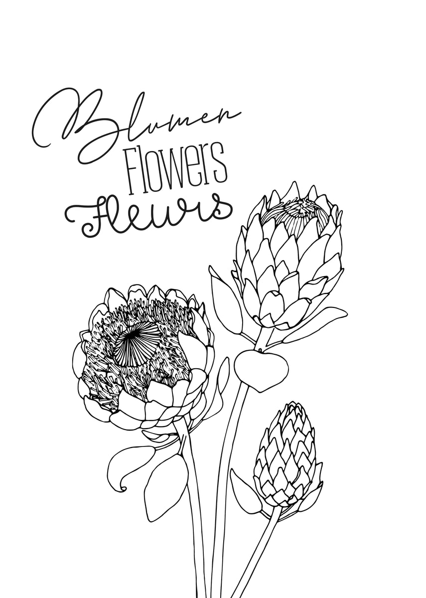 Flower coloring book for adults digital â monsoon publishing usa