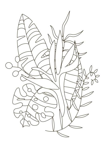 Coloring book page for adult and children protea flower art stock illustrations royalty