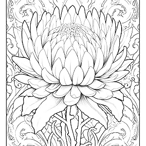 Whimsical gardens exotic flowers in art nouveau grayscale coloring book for adults art nouveau flowers coloring pages for adults art nouveau flower gardens starweaver adeline books