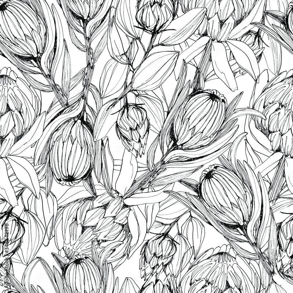 Seamless pattern with protea flower manual graphics coloring book for children and adults mascara floral pattern for textile decor and design wallpaper relaxation meditation graphics vector