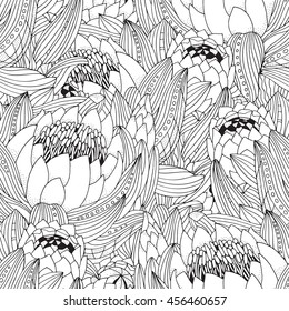 Coloring book page adult children protea stock vector royalty free