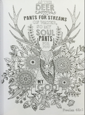 The psalms in colorâ inspirational adult coloring book