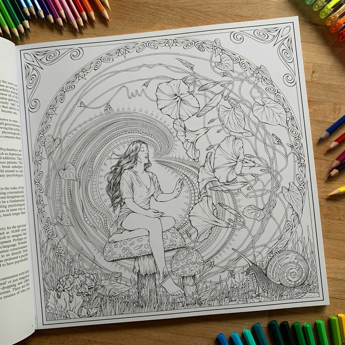 Psychedelic colouring book new adult coloring beautiful nnabis acid trippy