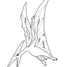 Pteranodon coloring pages