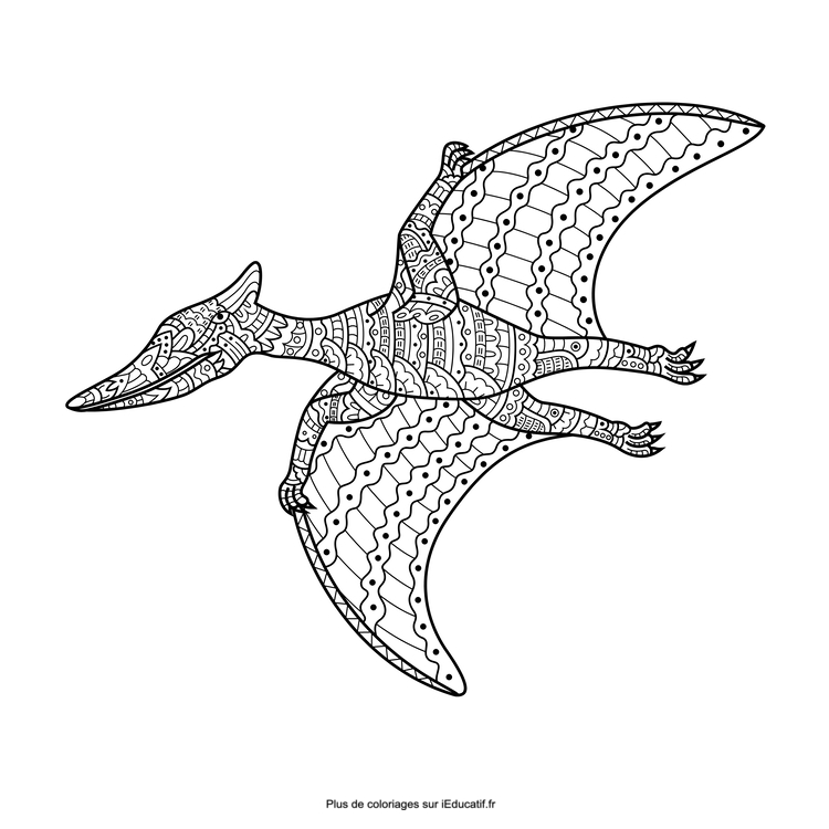 Coloring pages dinosaur pterosaur printable