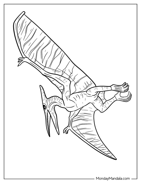 Pterodactyl coloring pages free pdf printables