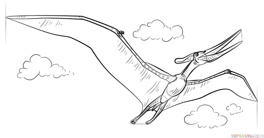 How to draw a pteranodon step by step drawing tutorials