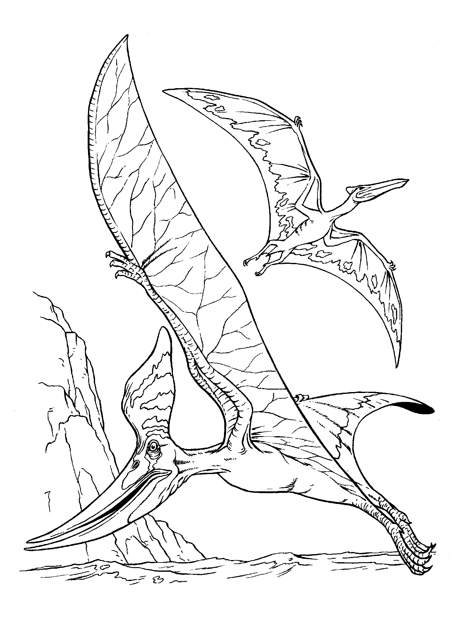 Coloring page