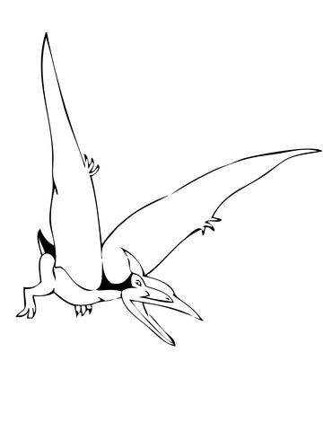 Pteranodon coloring page free printable coloring pages