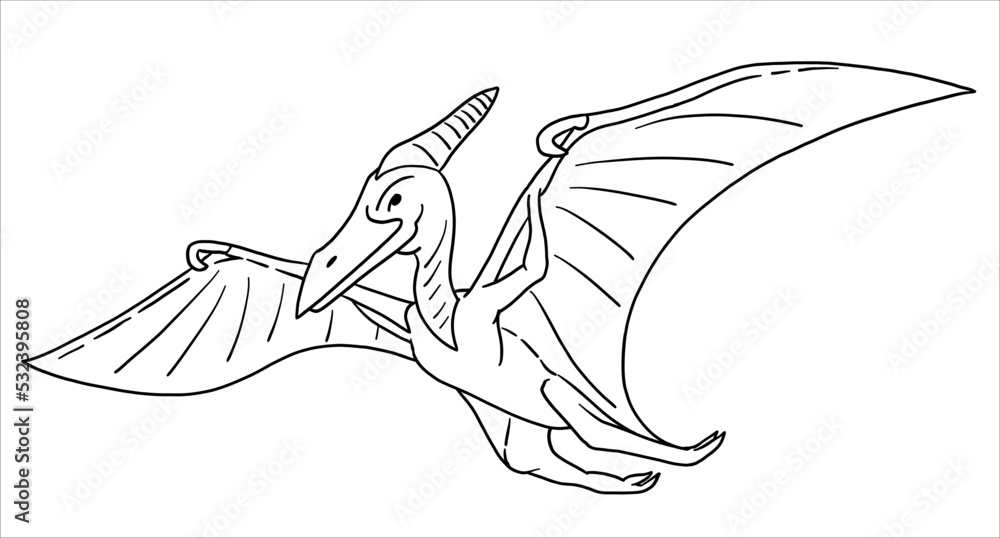 Pteranodon dinosaur illustration in black and white style the contour line vector for coloring vector