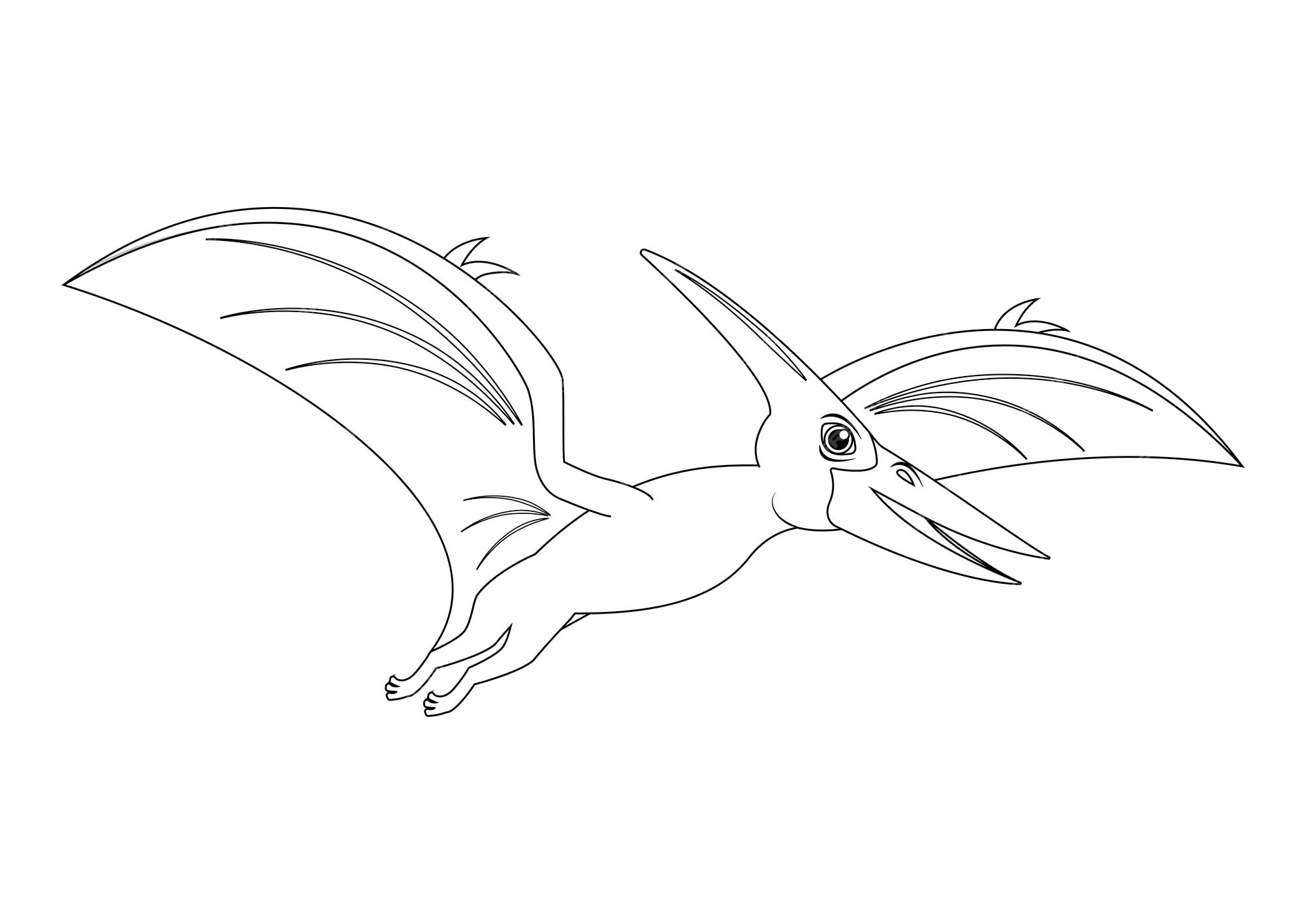 Premium vector black and white pteranodon dinosaur cartoon character vector coloring page of a pteranodon dinosaur