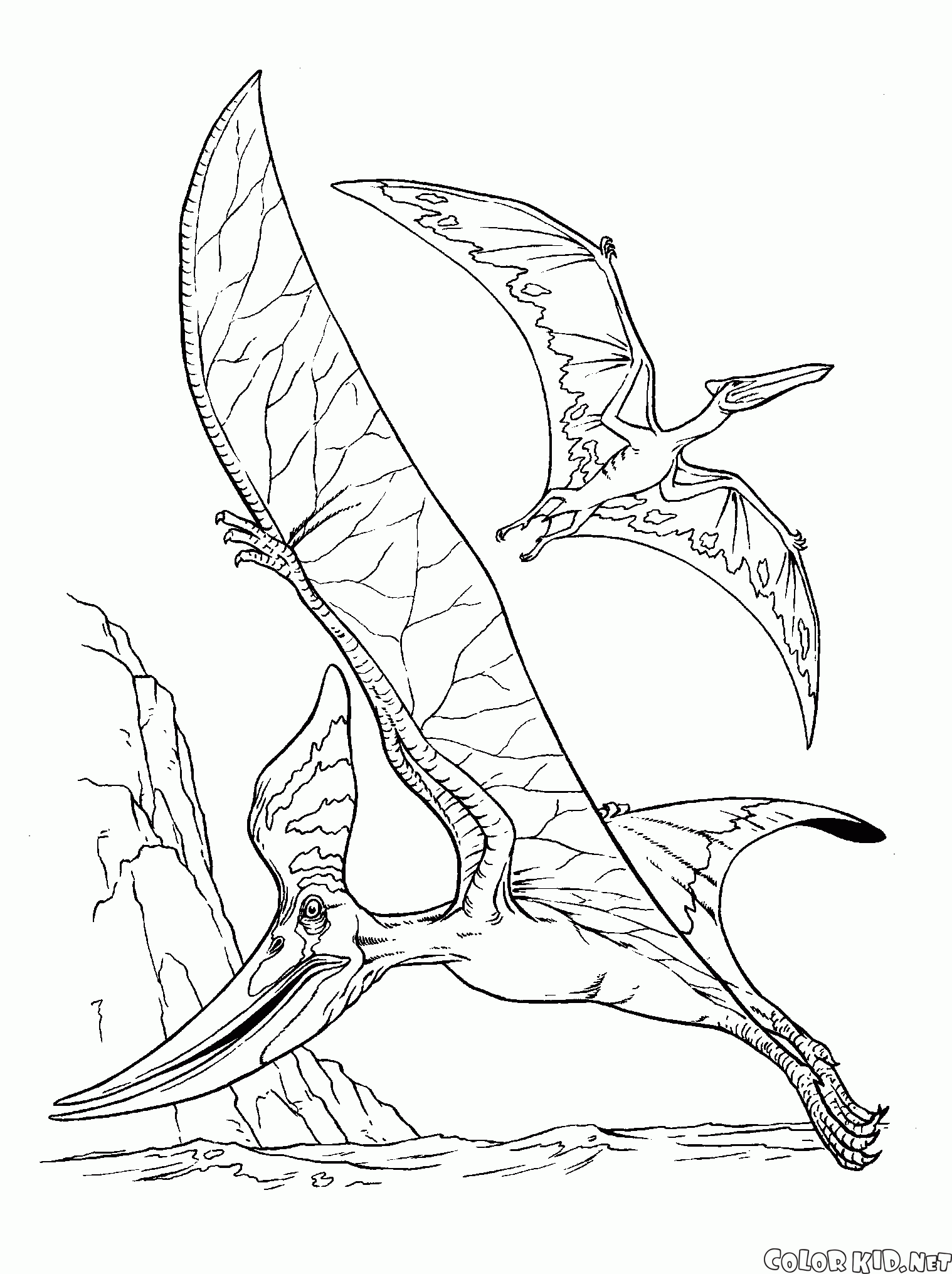 Coloring page