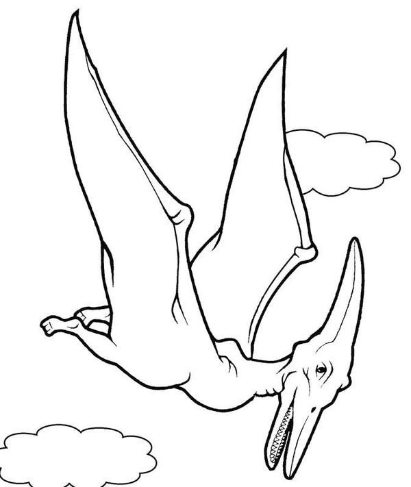 Ðï dinosaur pterodactyl