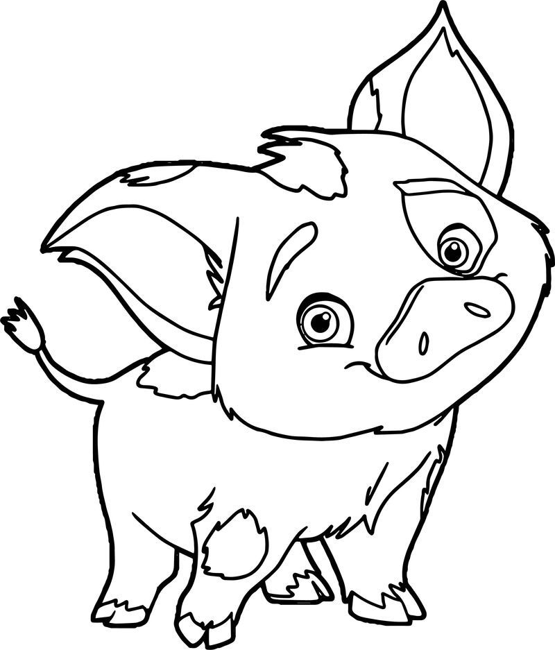 Pua moana coloring page