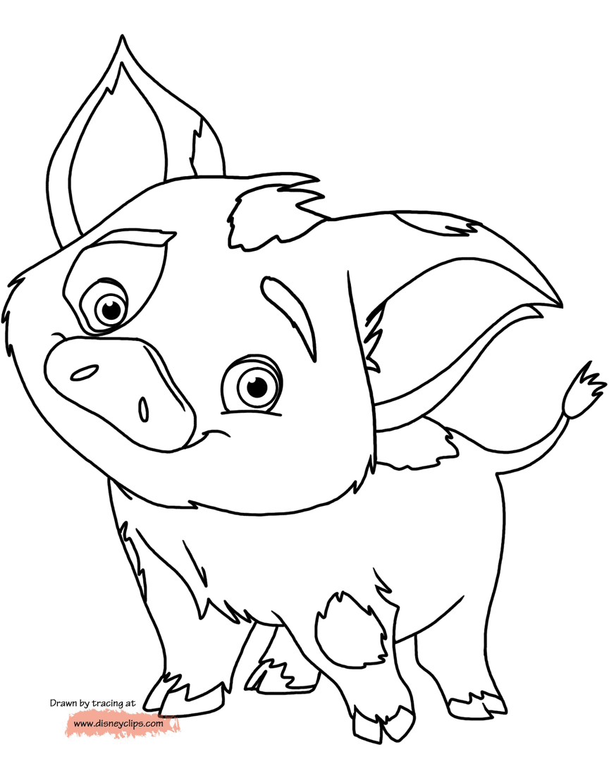 Disneys moana printable coloring pages