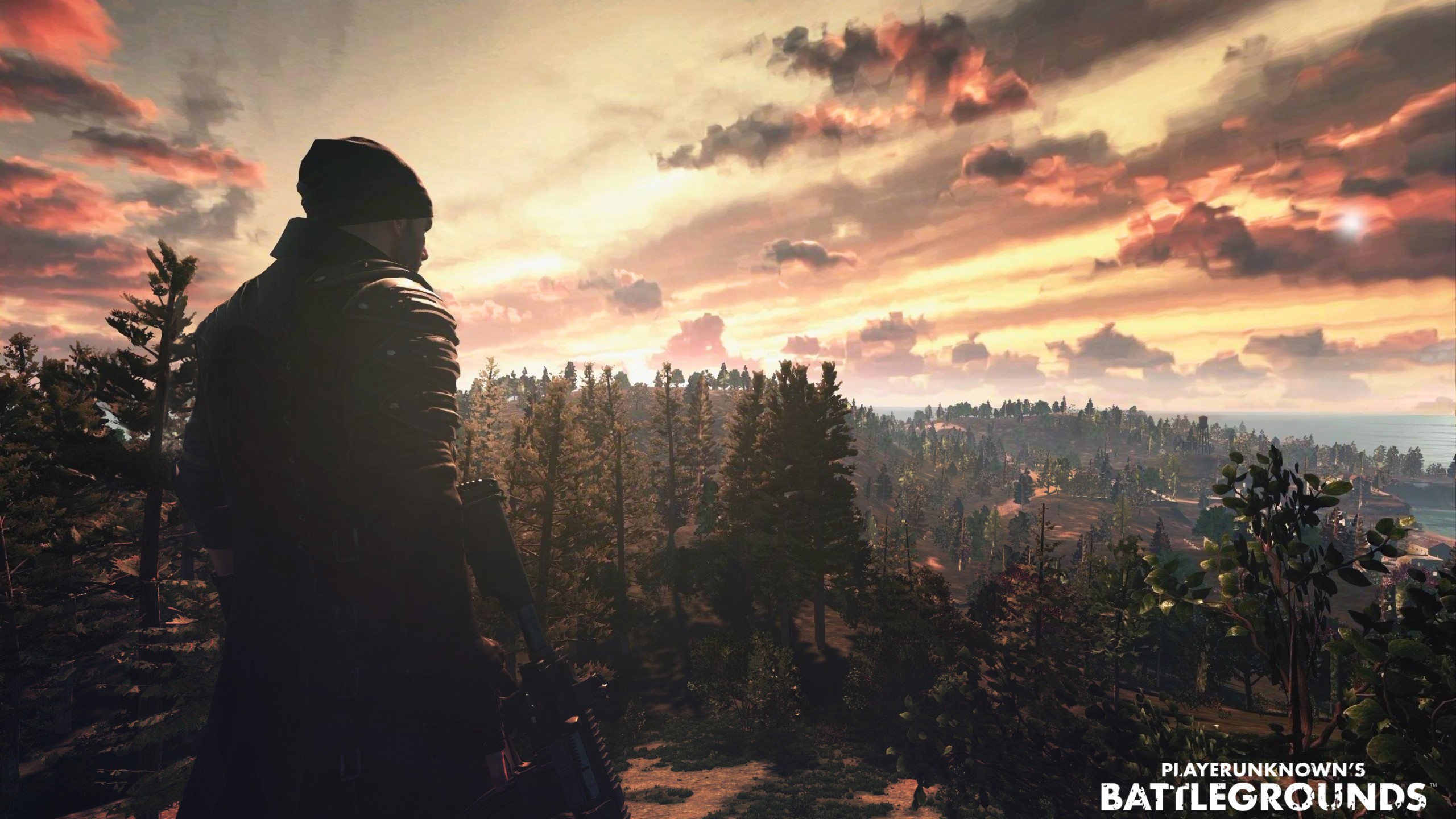 Wallpaper playerunknowns battlegrounds mmo shooter pc games