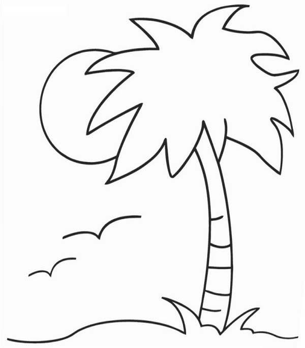 Palm tree coloring pages pdf for kids