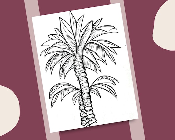 Palms coloring pages palm tree coloring book printable coloring page tropical coconut tree and nature